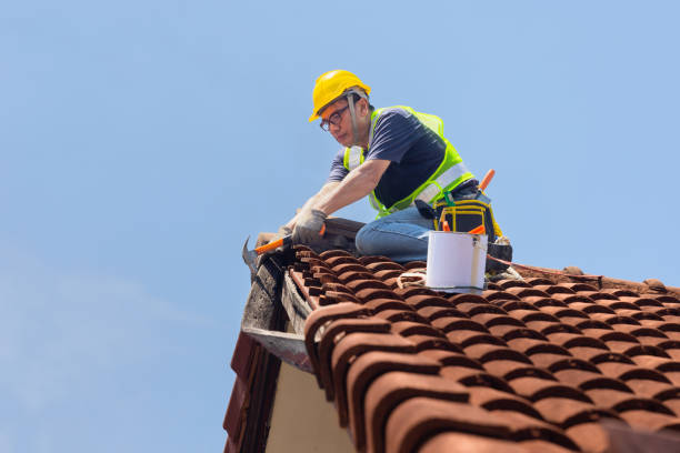 Best Skylight Installation and Repair  in Broussard, LA